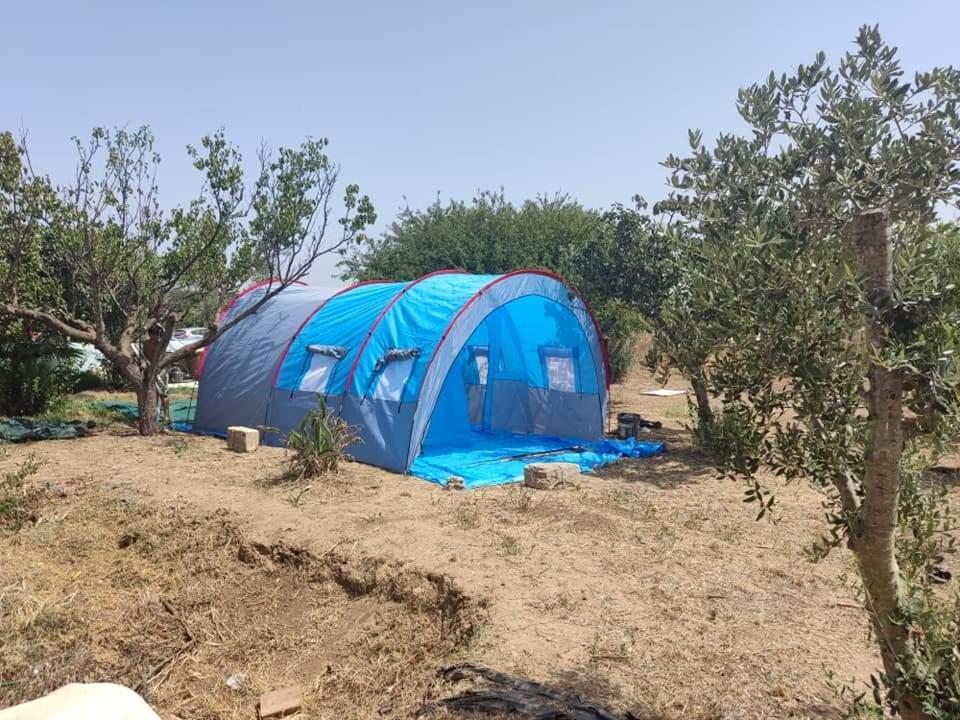 Aree Tende Presso La Casa In Campagna Di Ottavia Hotel Alezio Exterior foto